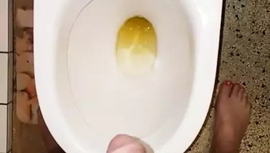 tsset z.mp4