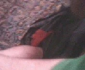 In green boxers