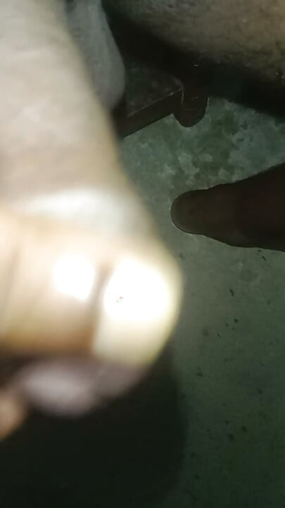 Nikki bhabhabhi ki yaad meDesi video