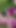 Key moment from "Two alt girls have a picnic in the forest and it goes well"