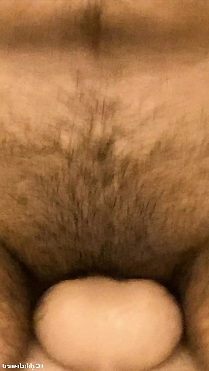 FTM Wildy Knullar &rider sexdocka