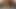 bareback cumswap sex pigs