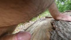 some fun in the woods part 2 (cuming)