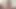 Tattooed gays with beard eats cock