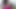Nikki Ladyboys Fucsia Casual Dress