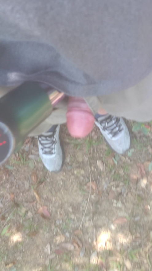 gun in the forest 2