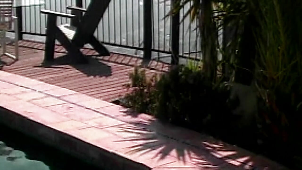 Begierde dreht völlig frei zwischen Hörsaal und Bett (18+)