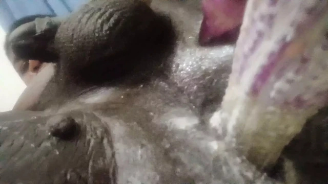 Sexy chocolate