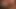 POV Big Uncut Cock Latino Camilo Brown Fucking a Grindr Friend Bareback and Breeding His Big Black Ass