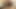 FLESHLIGHT AND HANDJOB EDGING + CUM DENIAL (4K)