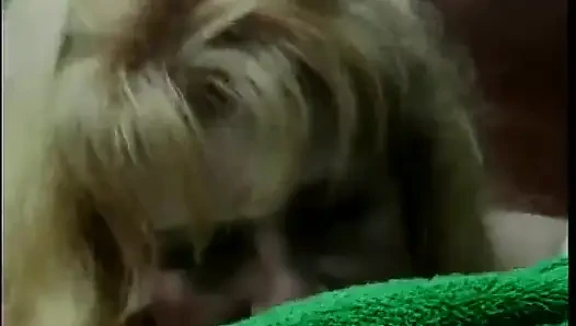 Klassische blonde milf im freien hart genagelt