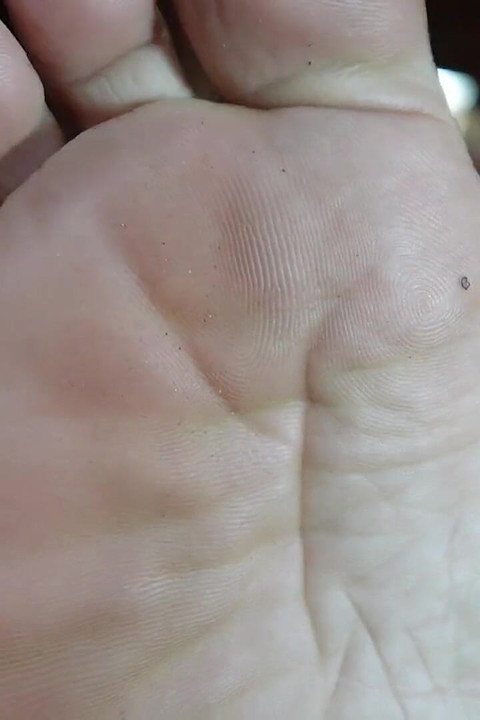 Home for My Feet
