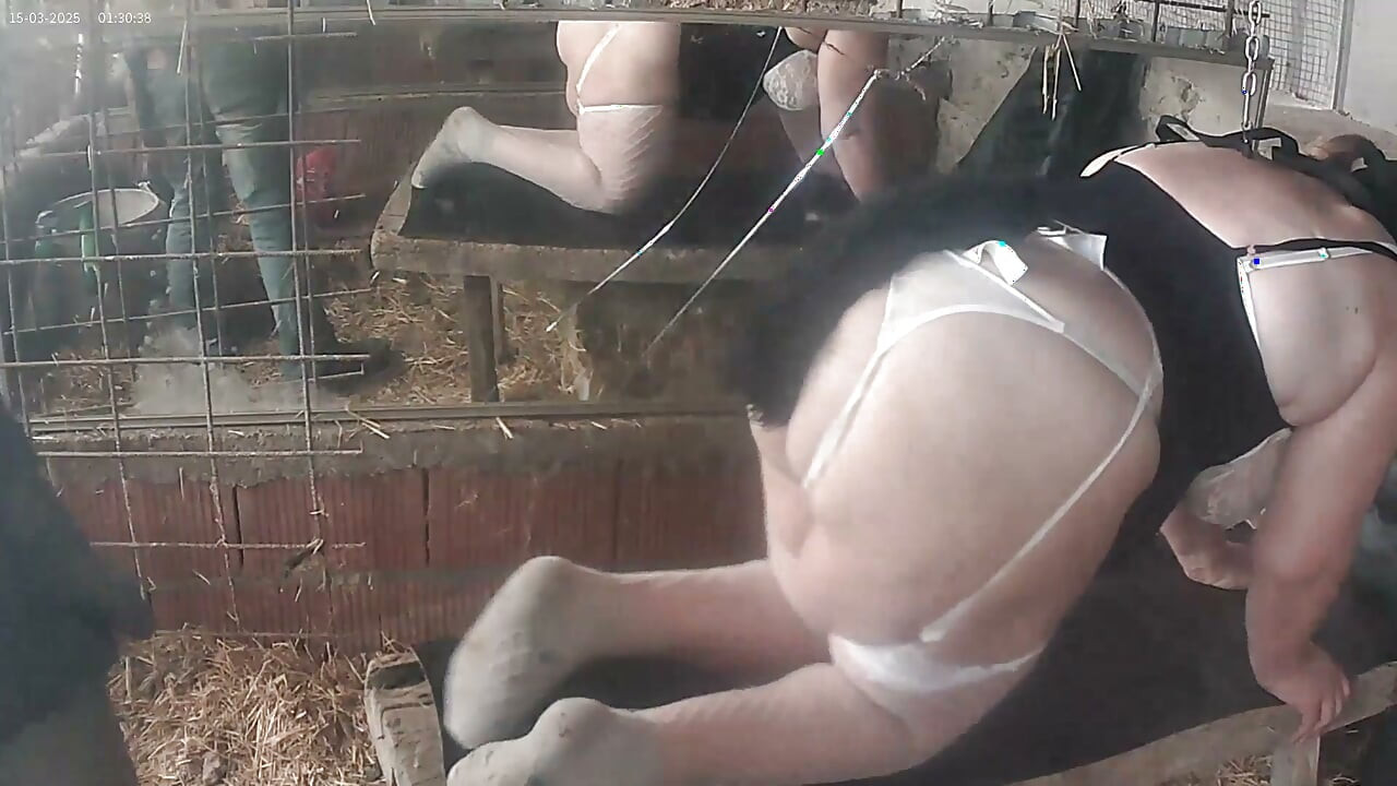 bbw anal duro bondage