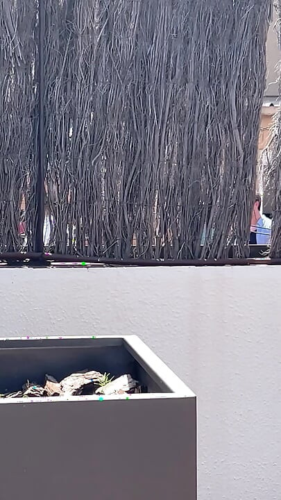 אשתי האסייתית החזה מזיינת אותי במרפסת בזמן שהשכן צופה- יסמינה חאן- בריידי באד