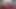 Casting BBW Zia, Desperate Amateurs