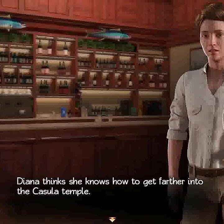 Comoara lui Nadia: sistemul de securitate