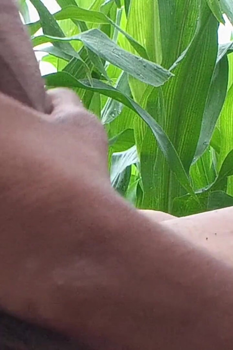Worldwide Viral Desi Hunk Solo Action Part 4 - Premium Faceless Amateur Close-up Raw Stroking Session 4K