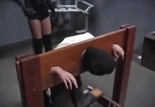 femdom 1