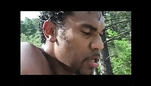 Asha Bliss коллекция