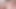 桜の罰と膣のセックス