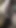Thrilling moment from "Thot in Texas - Cumshot Hairy Ebony Milf"