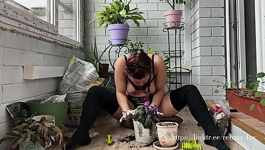 Tetangga saya memiliki langganan premium ke balkon saya