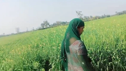 Hintli kadın ilk kez açık havada seks videosu