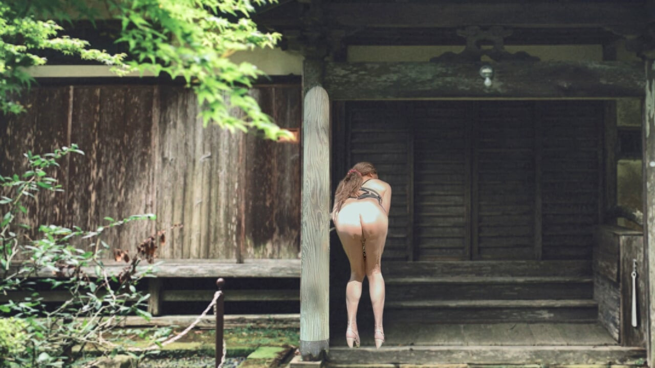 Японський старий будинок і pai-chan