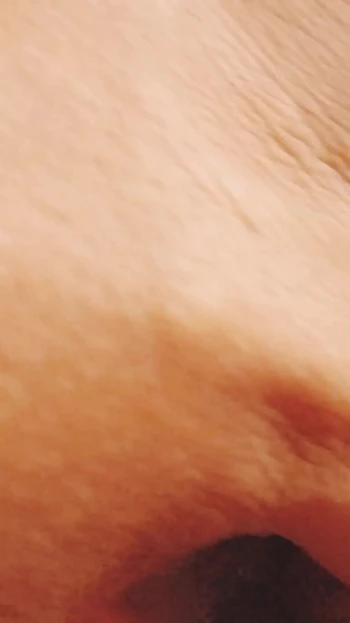 Emotional moment from "fucking my pregnant chubby wife with a doggy style"
