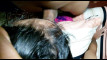 Video pregled