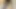 Oiled Gonzo BBW amateur lady threesome fucked at home