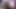 power of dick Big cook Mastuot Big Daddy dick Amateur Big dick masturbation long lasting squirting and losts power of dick Big