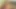 Nurumassage genç slaytlar yağlı kedi üzerinde horoz