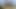 ブロンズヒョウ1
