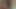 Secret Sex Society (2018)