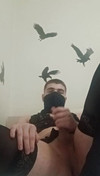 Pregled videozapisa