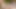 Twink in the woods - Huge cumshot in slowmo!