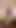 Spectacular moment from "OMG! She Fucked Me With Her BUBBLE TITS! by LilyKoti"
