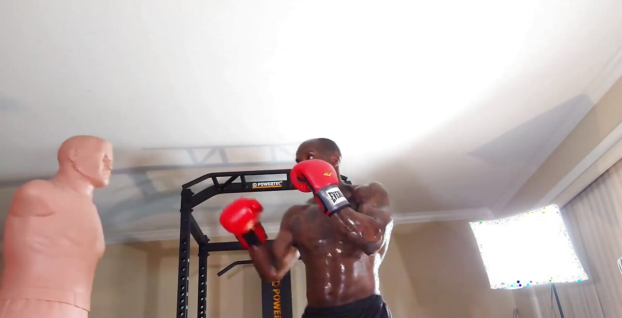 Boxing Workout When Designing a Core Training Program, the Local and Global Muscles Should Both Be Trained to Develop Proper Cor
