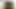 For the first time I took my girlfriend to the woods and fucked