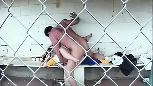 Fresh Fantasies