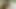 gif ASHLYN GERE