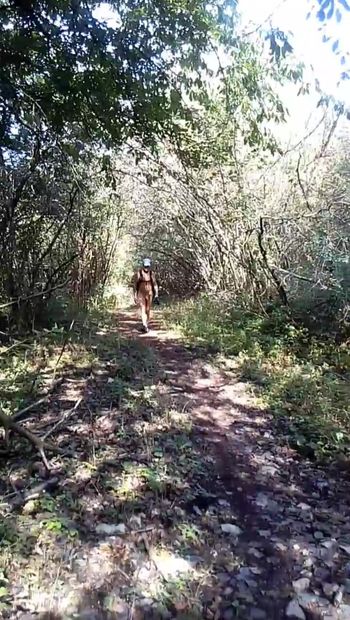 Wandelen in het bos