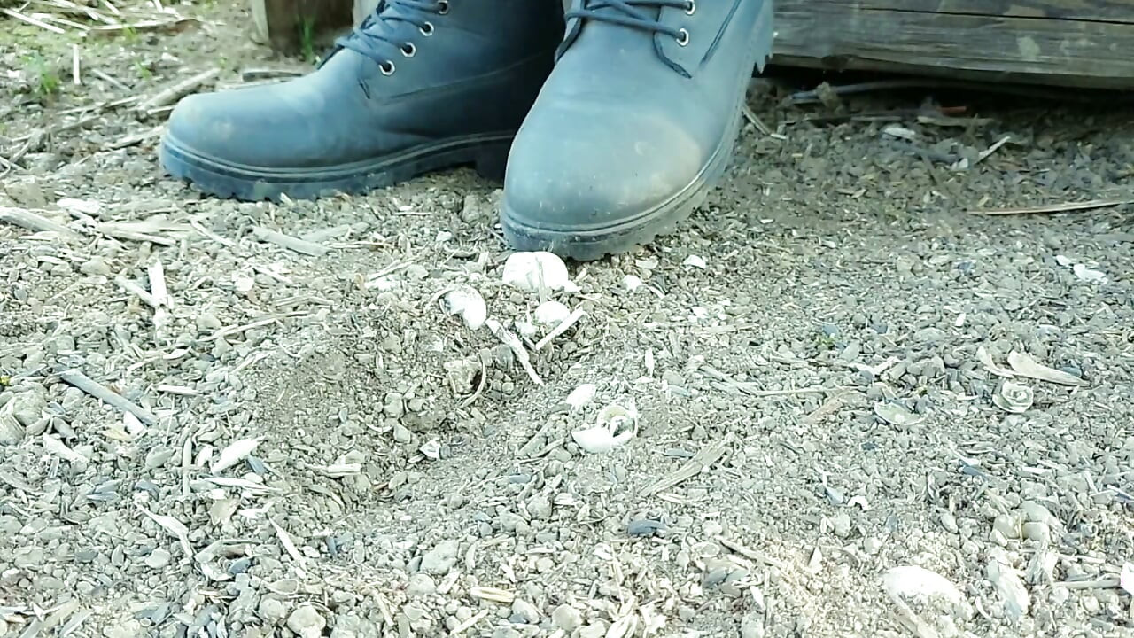 Jerk off and Cum After Empty Shells Are Crushed by Boots