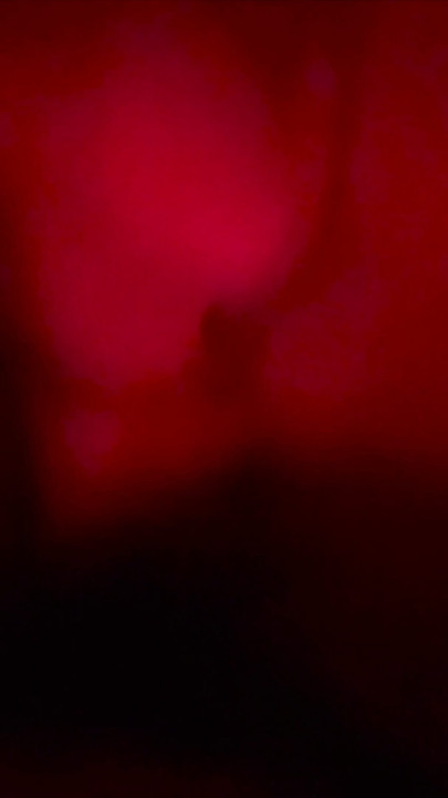 Red light Special: We did it today in red light | Clip 1
