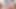 ソロ女性の自慰、一緒にやろう