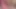HUGE 14 inch thick extreme anal dildo, Mr Hankey's Ogre