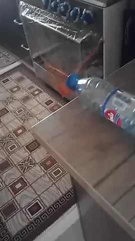 flpdpt