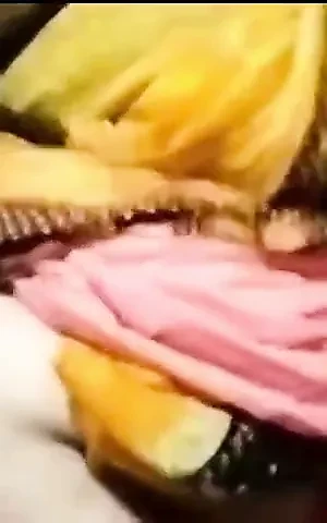 Dögös anya