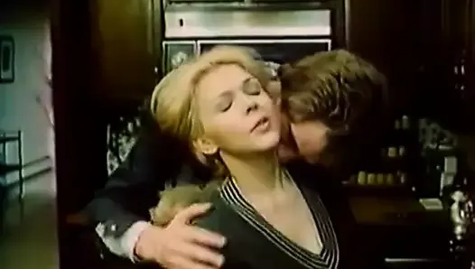 Deep Fuck at the Kitchen (1970s Vintage)